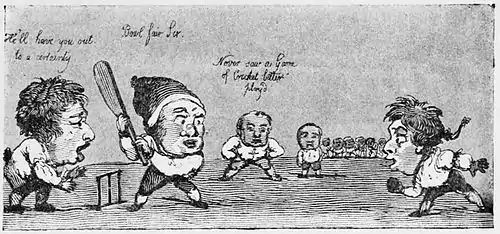 Cricket (Hutchinson) 0357.jpg