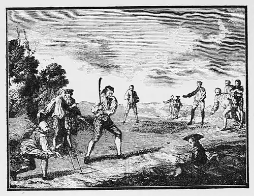 Cricket (Hutchinson) 0406.jpg