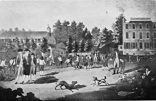 Cricket (Hutchinson) 0409.jpg