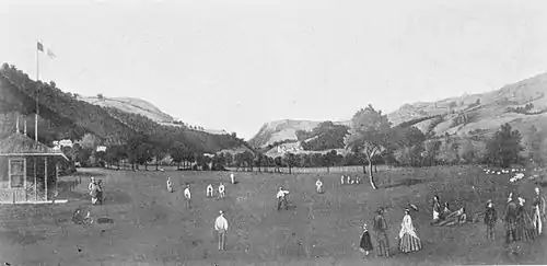 Cricket (Hutchinson) 0410.jpg