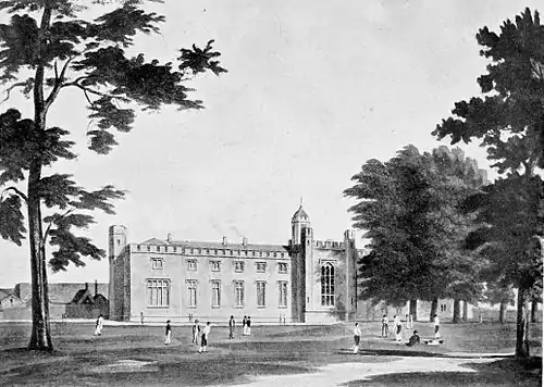 Cricket (Hutchinson) 0417.jpg