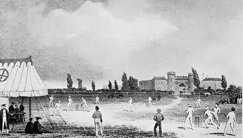 Cricket (Hutchinson) 0418.jpg
