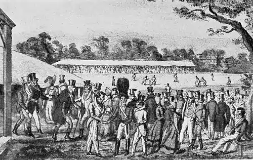 Cricket (Hutchinson) 0435.jpg