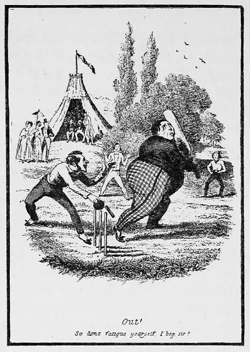 Cricket (Hutchinson) 0460.jpg