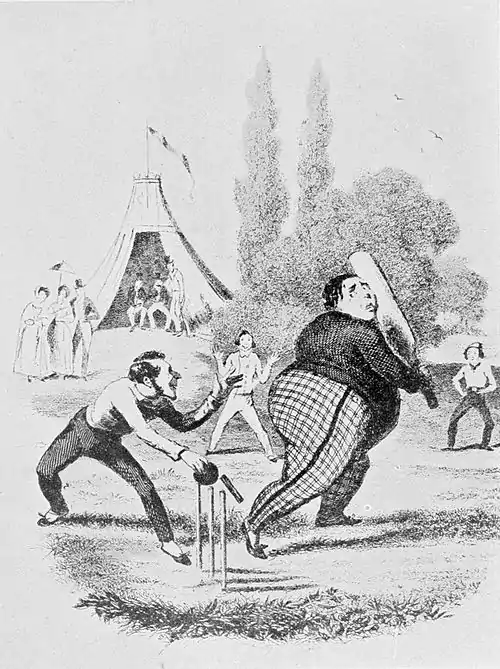 Cricket (Hutchinson) 0495.jpg