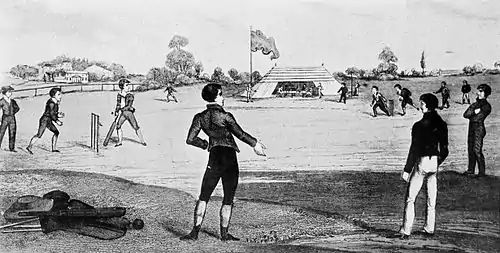 Cricket (Hutchinson) 0501.jpg