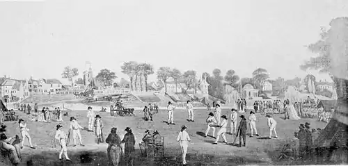 Cricket (Hutchinson) 0502.jpg