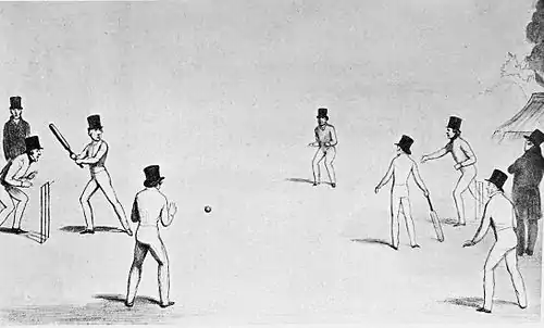 Cricket (Hutchinson) 0517.jpg