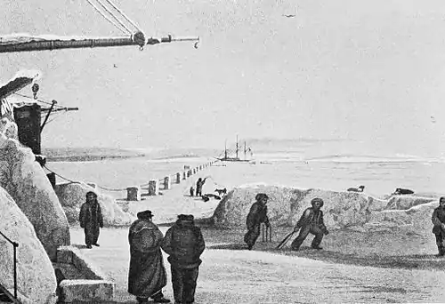 Cricket (Hutchinson) 0525.jpg