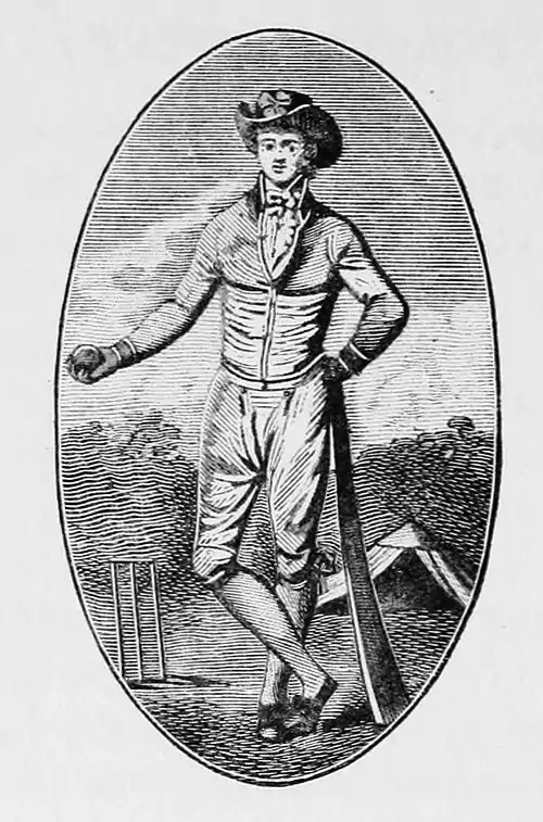 Cricket (Hutchinson) 0530.jpg