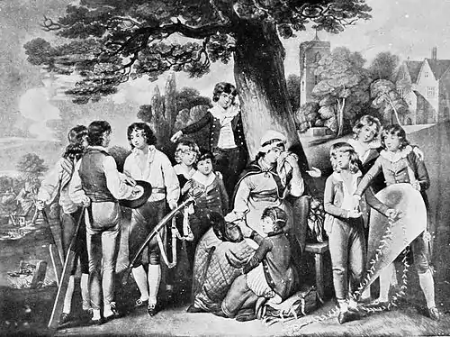 Cricket (Hutchinson) 0539.jpg