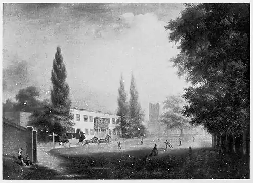 Cricket (Hutchinson) 0554.jpg