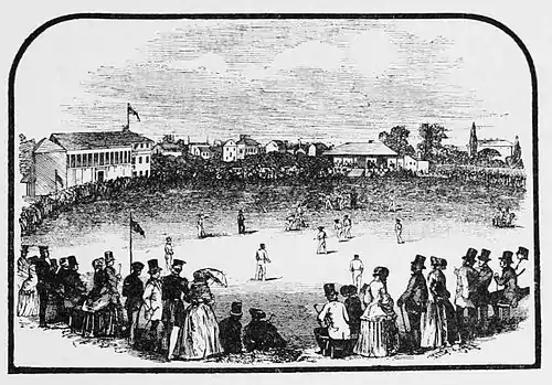 Cricket (Hutchinson) 0555.jpg