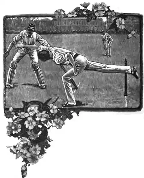 Cricket (Steel, Lyttelton) 0118.jpg