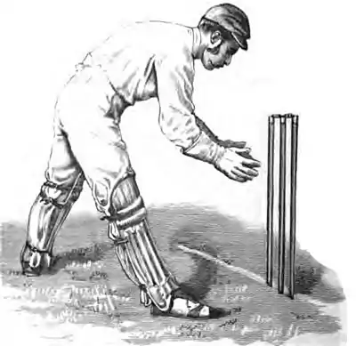 Cricket (Steel, Lyttelton) 0278.jpg