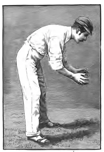 Cricket (Steel, Lyttelton) 0288.jpg