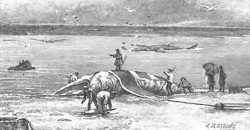 Click on image to enlarge.