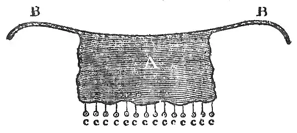 Domestic Encyclopedia 1802 vol4 p355.jpg
