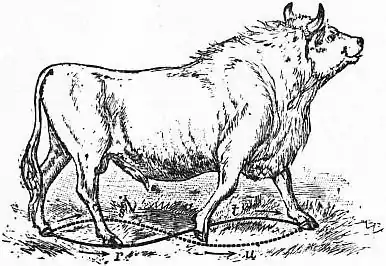 EB1911 - Flight - Fig. 1.jpg