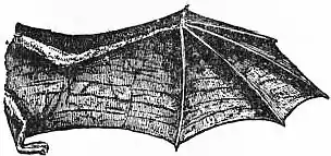 EB1911 - Flight - Fig. 17.jpg