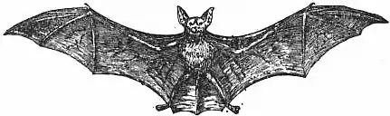 EB1911 - Flight - Fig. 3.jpg