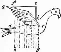 EB1911 - Flight - Fig. 31.png