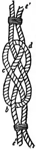 EB1911 - Knot - Fig. 21- Carrick Bend.jpg