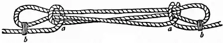 EB1911 - Knot - Fig. 46 - Sheep-Shank.jpg