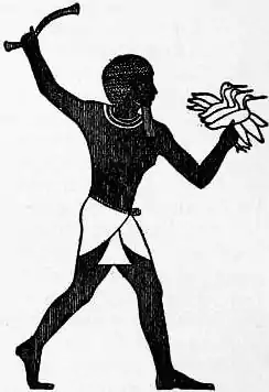 EB1911 Costume Fig. 1.—Egyptian Loin-cloth.jpg