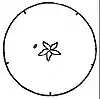 EB1911 Flower - diagrammatic section of a compound unilocular ovary.jpg