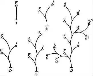 EB1911 Hydromedusae - Diagram of sympodial budding, biserial type.jpg