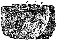 EB1911 Multituberculata - Fragment of Jaw of Stereognathus öolithicus.jpg