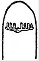 EB1911 Nemertina - Metanemertine head with transverse groove and furrows.jpg