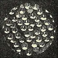 EB1911 Plants (Cytology) - epidermal cells of Tradescantia fluminensis.jpg