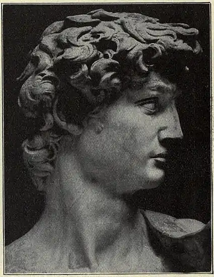 EB1911 Plate I. 24, Fig 5.jpg