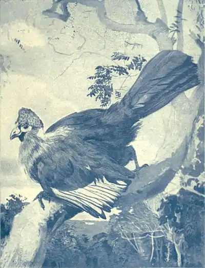 EB1911 Process (printing) - color separation - blue.jpg