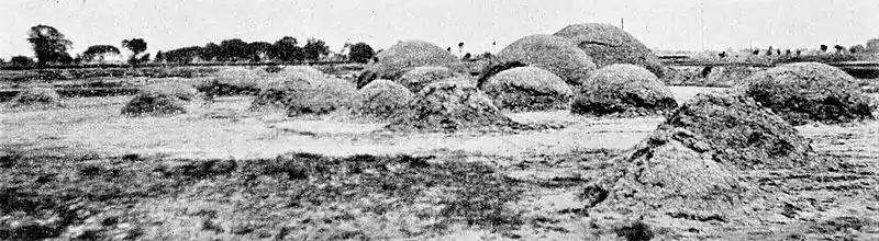 Family group of grave mounds in Chihli.jpg