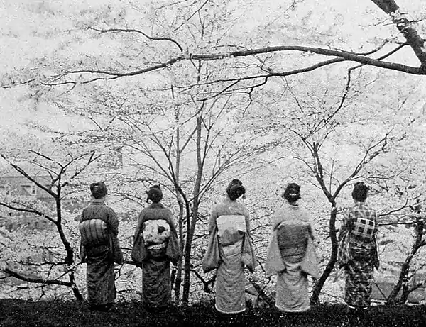 Farmers of forty centuries - Admiring cherry blossoms.jpg