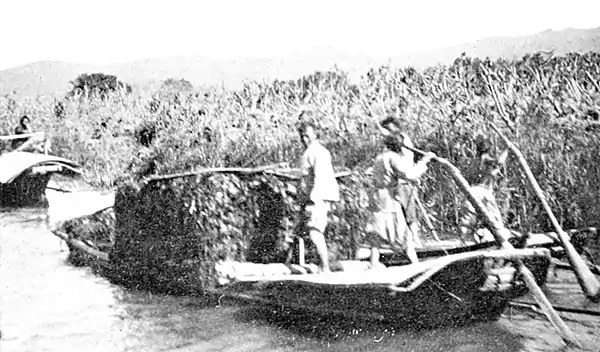 Farmers of forty centuries - Boat load of grass cut from bottom of canal, Kiangsu, China.jpg