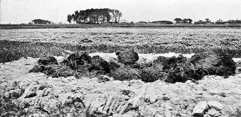 Farmers of forty centuries - Compost pit adjacent to a field of clover.jpg