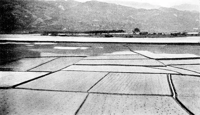 Farmers of forty centuries - Fields of rice in Japan.jpg
