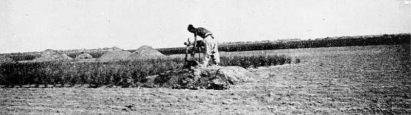 Farmers of forty centuries - Graves surrounded by fields.jpg