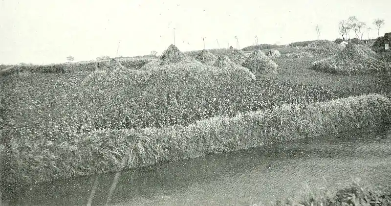 Farmers of forty centuries - Group of grass-grown grave mounds.jpg