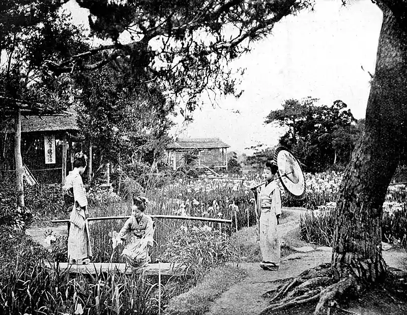 Farmers of forty centuries - Iris garden, Japan.jpg