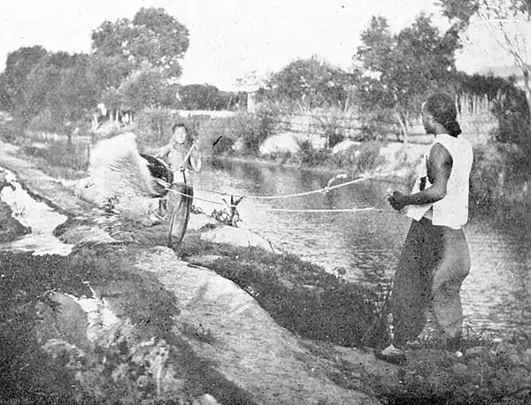 Farmers of forty centuries - Irrigation by means of the swinging basket, Chihli, China.jpg