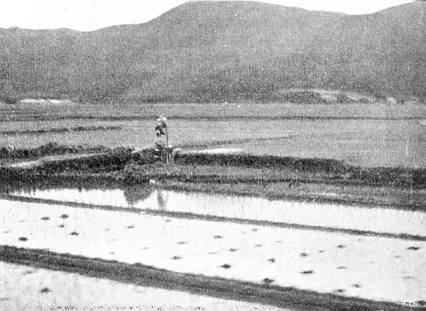 Farmers of forty centuries - Japanese circumferential foot-power water wheel.jpg