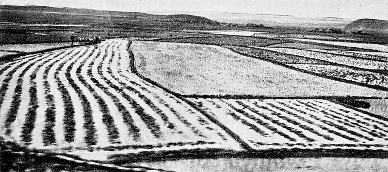 Farmers of forty centuries - Landscape in Korea.jpg