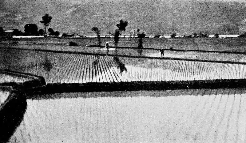 Farmers of forty centuries - Landscape in one of the readjusted districts in Japan.jpg