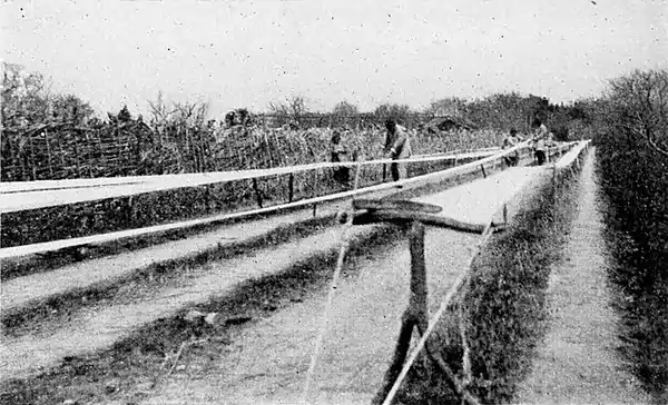 Farmers of forty centuries - Laying warp.jpg