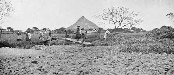Farmers of forty centuries - Providing for the building of a mud-and-clover compost stack.jpg